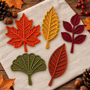 Könnte beinhalten: Ein Set aus fünf gehäkelten Blättern in verschiedenen Formen und Farben, darunter ein leuchtend orangefarbenes Ahornblatt, ein gelbes gezacktes Blatt, ein dunkelrotes gefiedertes Blatt, ein grünes Ginkgoblatt und ein rostfarbenes ovales Blatt.