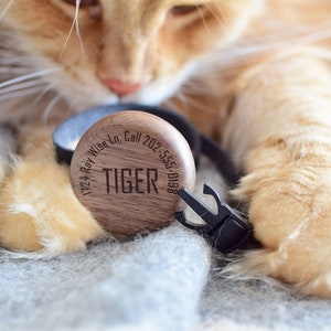 Apple Airtag breakaway cat collar made out of premium materials such as naturally tanned full grain premium leather and american walnut wood