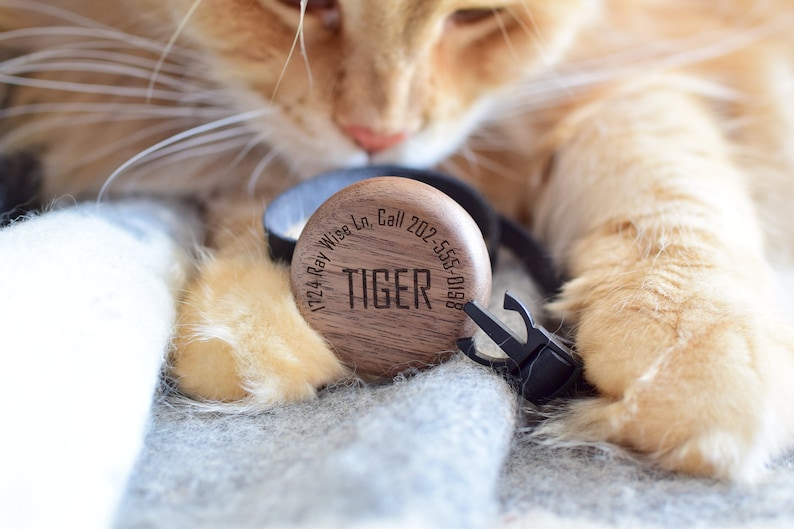 Apple Airtag breakaway cat collar made out of premium materials such as naturally tanned full grain premium leather and american walnut wood
