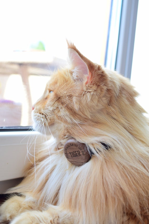 Airtag Cat Collar: Leather & Wood, Breakaway Buckle, Personalized
