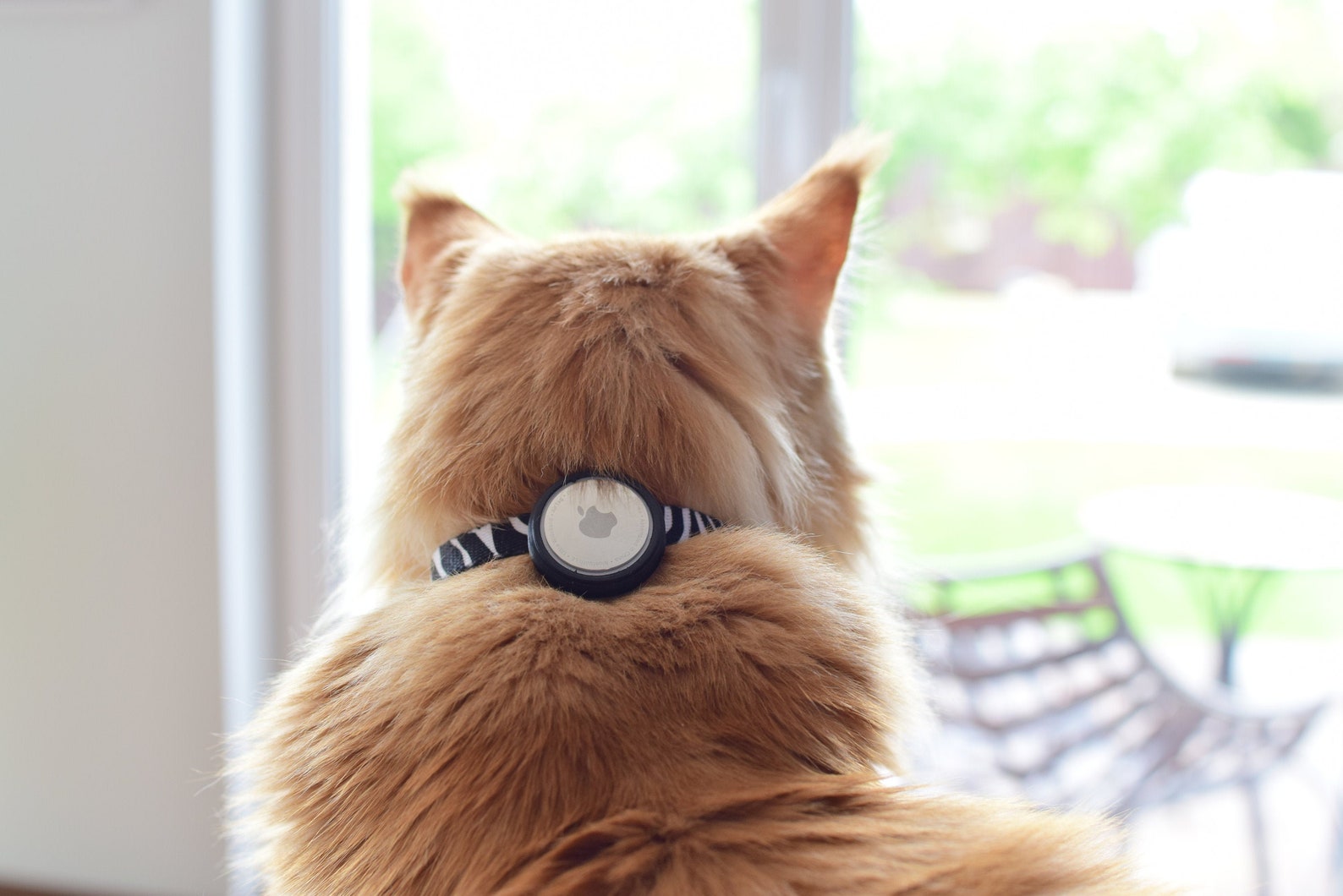 Airtag perro collar mascota gato caja Apple Silent Slide en la Etsy Airtag perro collar mascota gato caja Apple Silent Slide en la Etsy