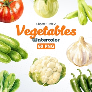 Può includere: Una collezione digitale di illustrazioni di verdure ad acquerello con un pomodoro rosso, zucca verde, cetrioli, un cavolfiore, aglio e bok choy. Il testo recita Clipart Part 2 Vegetables Watercolor 60 PNG.