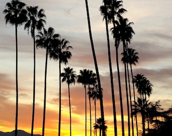 California Palm Trees with Sunset. Los Angeles Photography, Palm Tree Photo Print, California Photography. Wall Art, Art Print, Photo Print