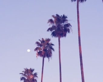 Palm Trees Los Angeles California Photo Print. L.A. Photography, Dusk, Purple, Moon, Hipster, Minimalist, Home Decor Wall Art, Modern Home