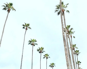 California Palm Trees Photo Print, Los Angeles Photography, Street Lined Palm Trees, Minimalist Home Decor, Black and White, LA Wall Art,