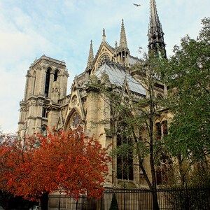 Notre Dame Cathedral Paris Photo Print, Paris in Fall, Autumn Photography, Notre Dame Spire, Notre Dame de Paris Photography, Paris Wall Art
