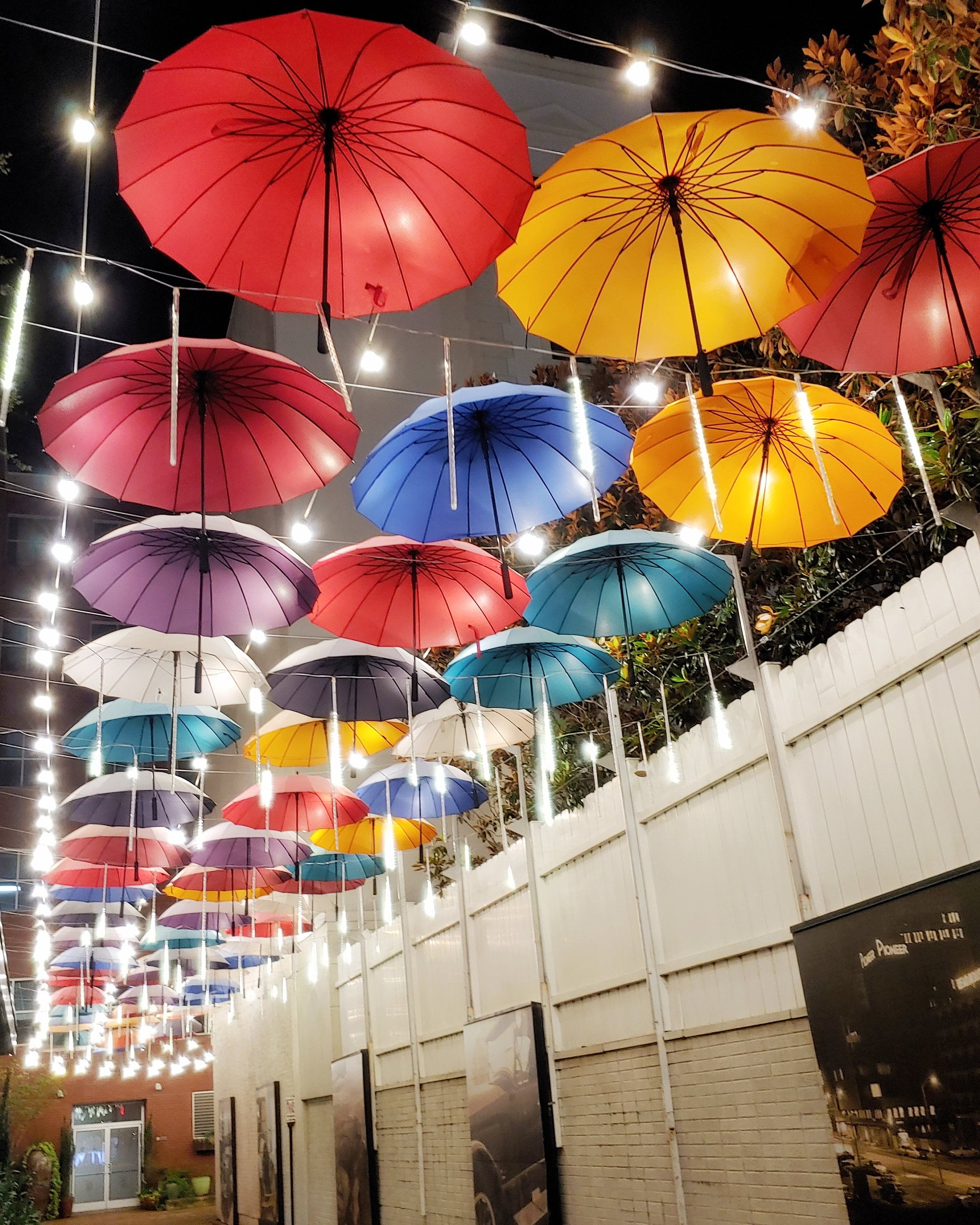 Hanging Umbrellas Photo Print Umbrella Alley Chattanooga