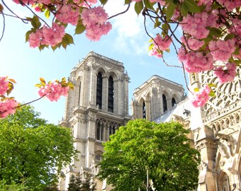 Paris Fine Art Photography, Spring in Paris. Cherry Blossoms at Notre Dame Cathedral, Floral Print Art, French Home decor, Large Wall Art