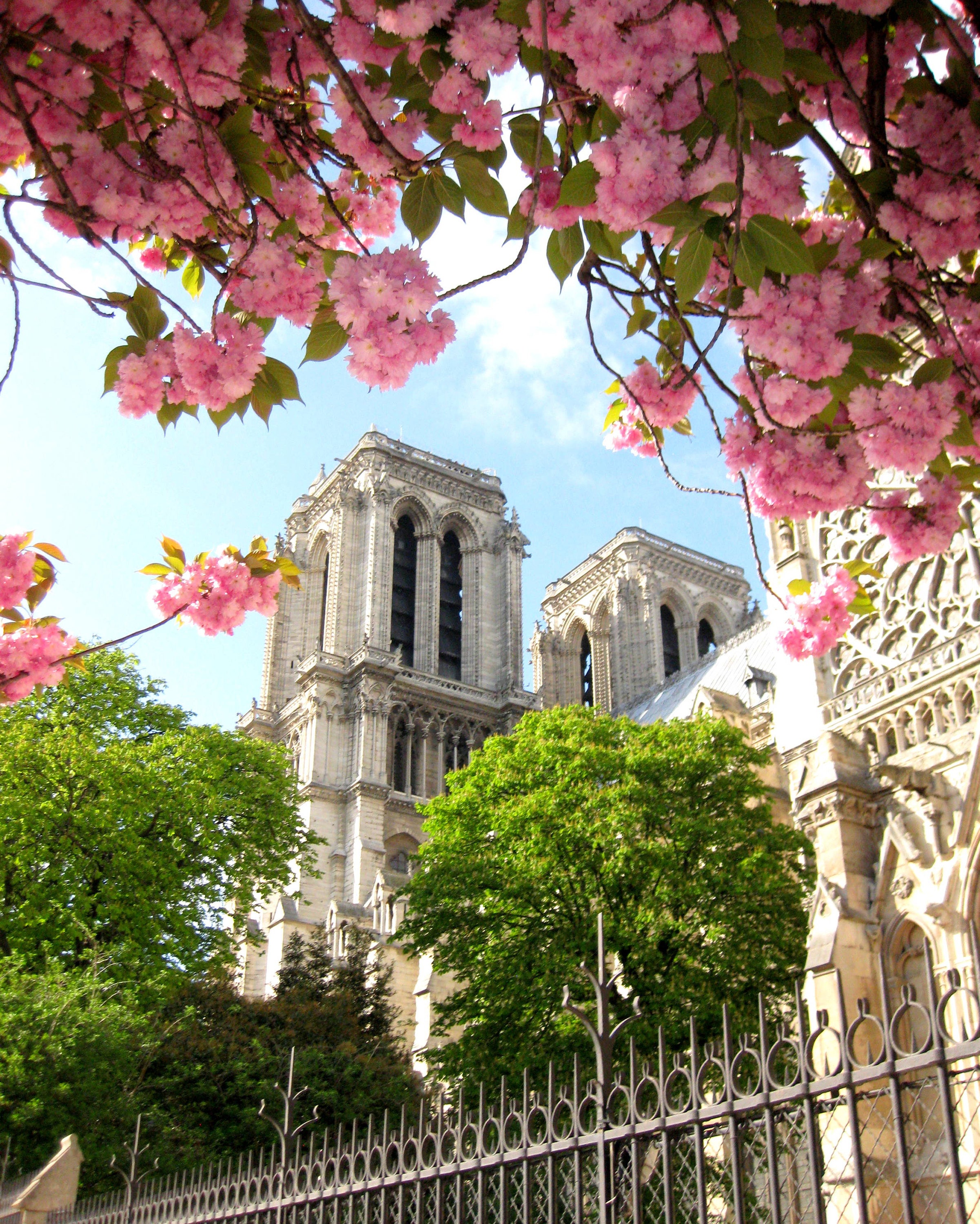 Notre Dame de Paris Paris Wall Art, French Architecture Paris Photography Home Decor Paris Notre Dame Art Print Paris Home Decor