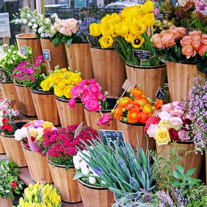 Paris Blumen Fotodruck, Bunte Paris Fotografie, Paris Fine Art Fotografie, Wandkunst, Paris Gallery Wall, French Home Decor, Fleurs