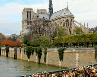 Notre Dame and Love Locks on Bridge Photo Print. Pont De L'archevêché Paris France Photography. Notre Dame, Seine River Gothic Architecture