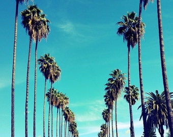 VANS ERA パームツリー　ヤシの木 VANS ERA パームツリー ヤシの木