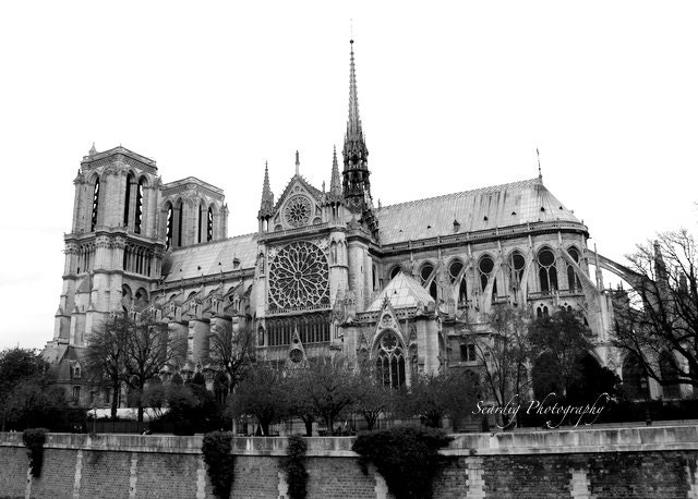 Notre Dame de Paris Paris Wall Art, French Architecture Paris Photography Home Decor Paris Notre Dame Art Print Paris Home Decor