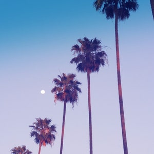 Palm Trees Los Angeles California Photo Print. L.A. Photography, Dusk, Purple, Moon, Hipster, Minimalist, Home Decor Wall Art, Modern Home image 2