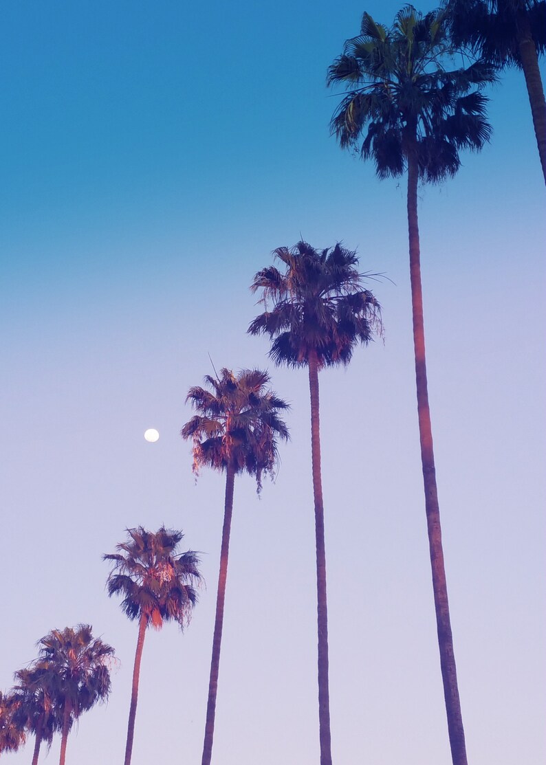 Palm Trees Los Angeles California Photo Print. L.A. Photography, Dusk, Purple, Moon, Hipster, Minimalist, Home Decor Wall Art, Modern Home image 2