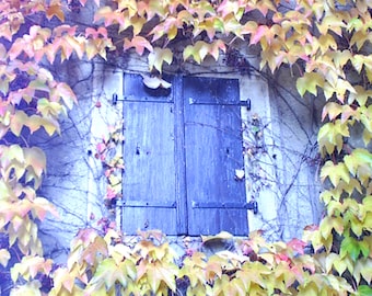 French Village Distressed Shutters Photo. French Photography. French Window. Print. Autumn. Travel Photography. Leaves. Fall Colors Nursery.