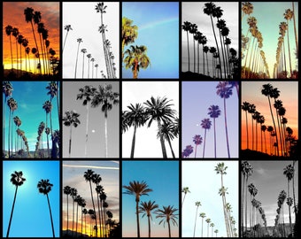Stampa fotografica collage di palme della California, arte della parete della California, fotografia di palme, arte della parete della camera da letto, decorazione della camera familiare, decorazione dell'ufficio