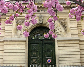 Cherry Blossoms Paris Door Photo, Fotografía de París, Primavera en París. Puerta Verde. Primavera, Arquitectura de París. Decoración del hogar francés, arte de la pared