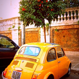 Rome. Vintage Fiat 500 Orange Tree Photo. Wall Art. Decor. Photography. Italy. Antique Car. Travel Photograph. Fine Art. Italian. Hipster.