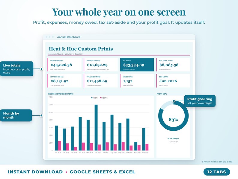 Annual dashboard with income, expenses, net profit, money owed, profit goal ring and category charts