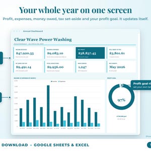 Annual dashboard with income, expenses, net profit, money owed, profit goal ring and category charts