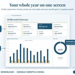 Annual dashboard with income, expenses, net profit, money owed, profit goal ring and category charts