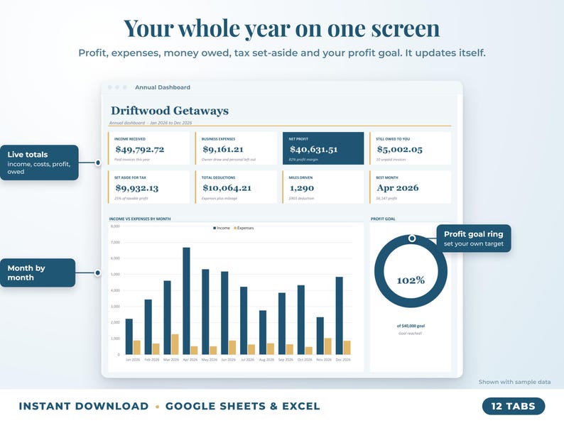 Annual dashboard with income, expenses, net profit, money owed, profit goal ring and category charts