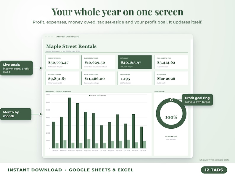 Annual dashboard with income, expenses, net profit, money owed, profit goal ring and category charts