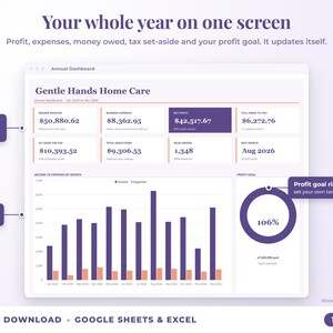 Annual dashboard with income, expenses, net profit, money owed, profit goal ring and category charts