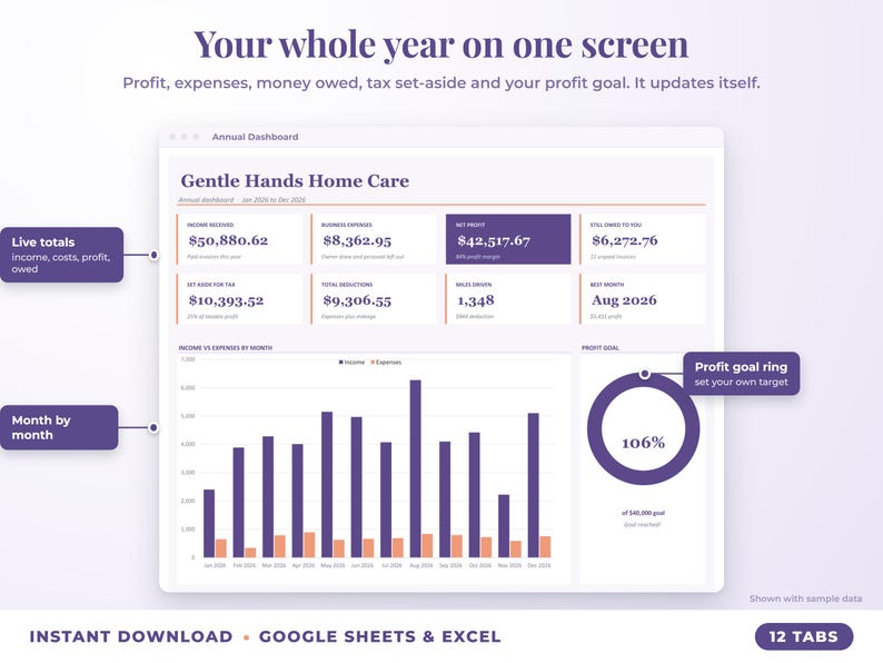 Annual dashboard with income, expenses, net profit, money owed, profit goal ring and category charts