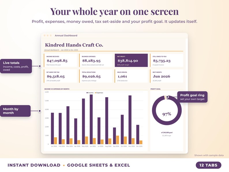 Annual dashboard with income, expenses, net profit, money owed, profit goal ring and category charts