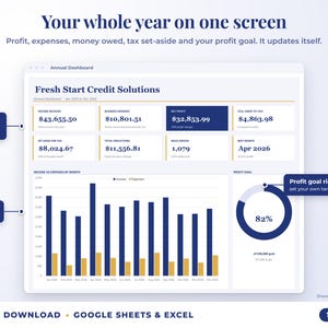 Annual dashboard with income, expenses, net profit, money owed, profit goal ring and category charts