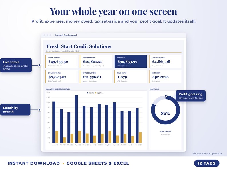 Annual dashboard with income, expenses, net profit, money owed, profit goal ring and category charts