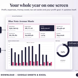 Annual dashboard with income, expenses, net profit, money owed, profit goal ring and category charts