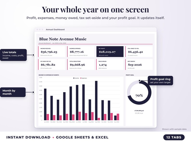 Annual dashboard with income, expenses, net profit, money owed, profit goal ring and category charts