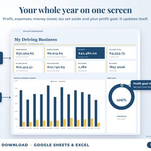 Annual dashboard with income, expenses, net profit, money owed, profit goal ring and category charts