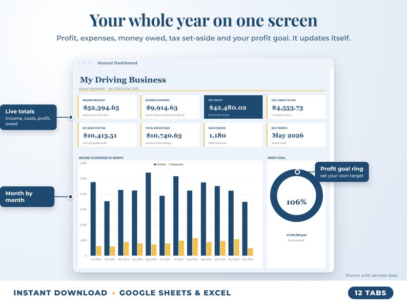 Annual dashboard with income, expenses, net profit, money owed, profit goal ring and category charts