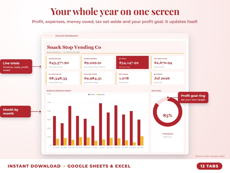 Annual dashboard with income, expenses, net profit, money owed, profit goal ring and category charts