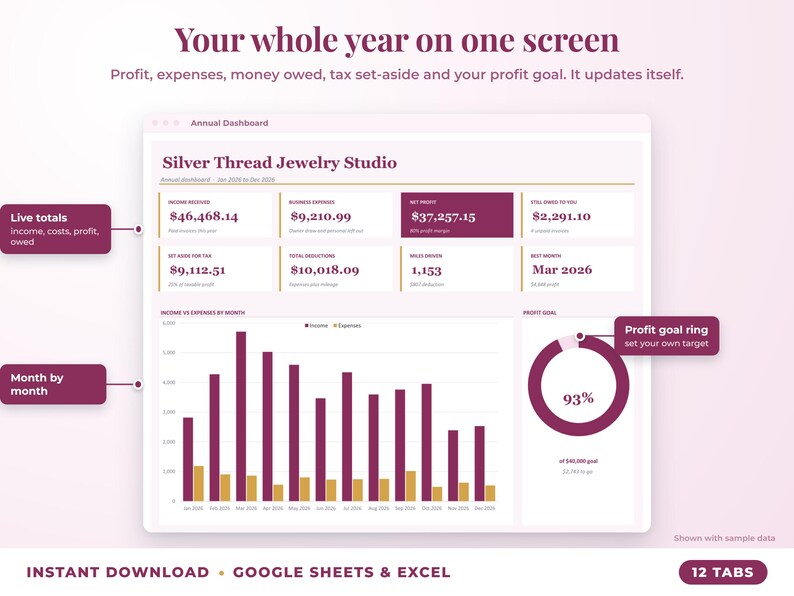 Annual dashboard with income, expenses, net profit, money owed, profit goal ring and category charts