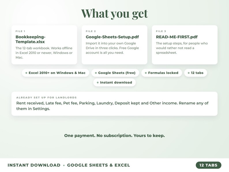 What is included: 12-tab Excel workbook, Google Sheets setup guide and read-me-first guide