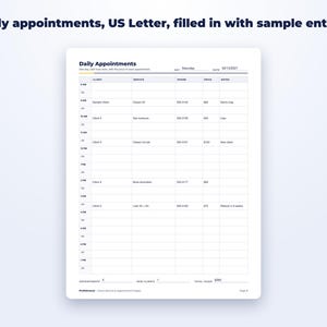 Client Record & Appointment Pages page preview