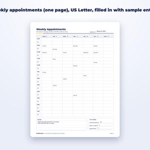 Client Record & Appointment Pages page preview