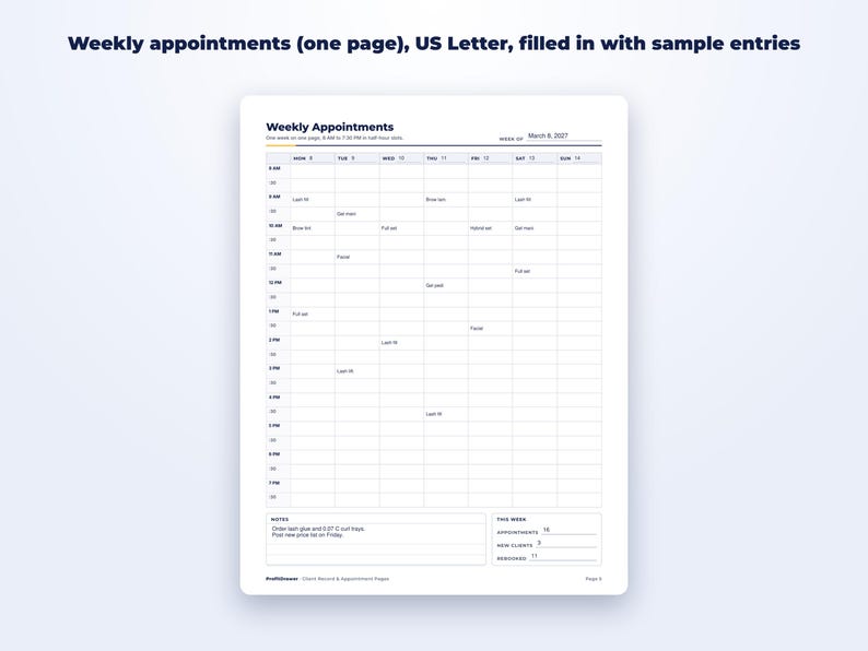Client Record & Appointment Pages page preview