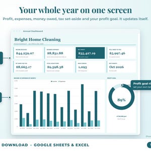 Annual dashboard with income, expenses, net profit, money owed, profit goal ring and category charts