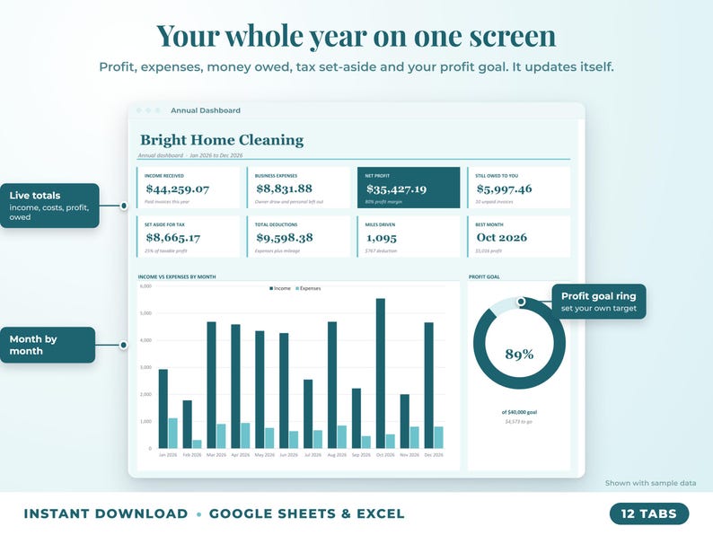 Annual dashboard with income, expenses, net profit, money owed, profit goal ring and category charts