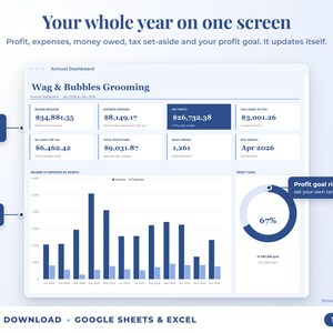 Annual dashboard with income, expenses, net profit, money owed, profit goal ring and category charts