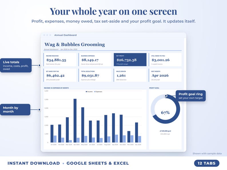 Annual dashboard with income, expenses, net profit, money owed, profit goal ring and category charts