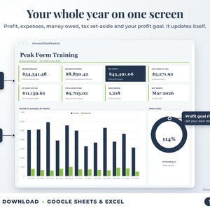 Annual dashboard with income, expenses, net profit, money owed, profit goal ring and category charts
