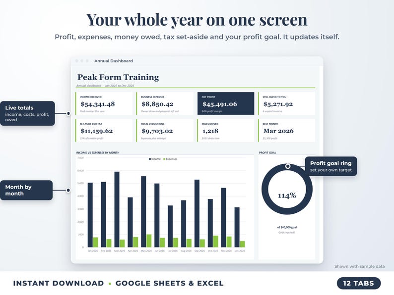 Annual dashboard with income, expenses, net profit, money owed, profit goal ring and category charts