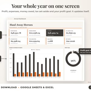 Annual dashboard with income, expenses, net profit, money owed, profit goal ring and category charts